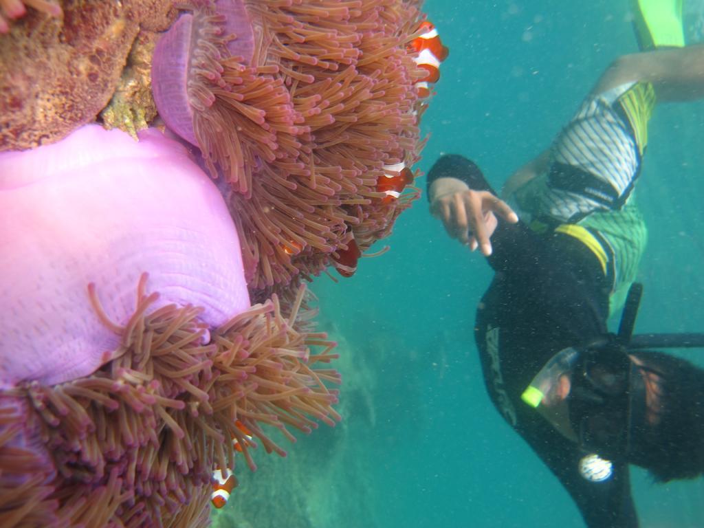 Ombak Dive Resort Perhentian Island Pulau Perhentian Kecil ภายนอก รูปภาพ
