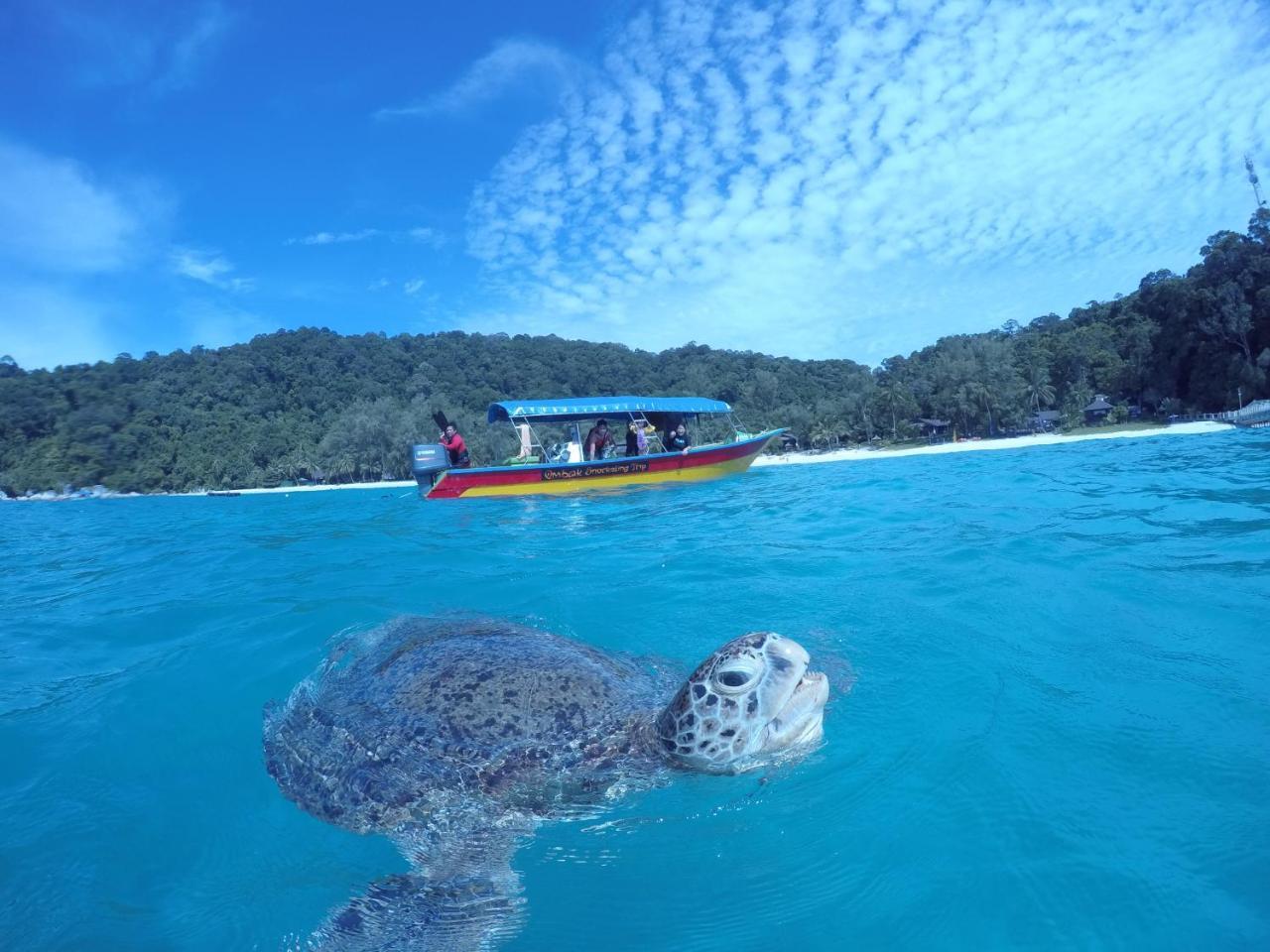 Ombak Dive Resort Perhentian Island Pulau Perhentian Kecil ภายนอก รูปภาพ